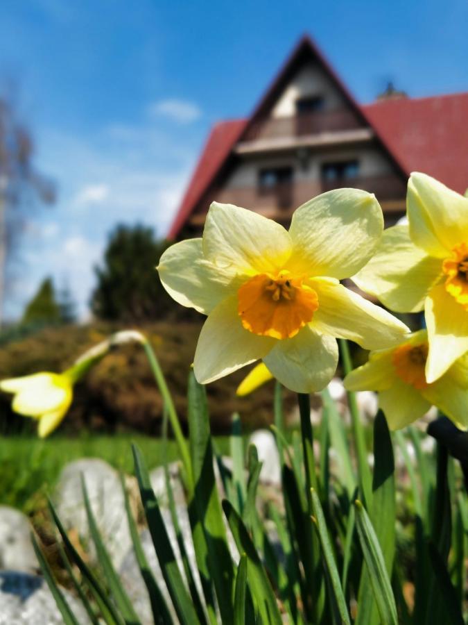 Dom Na Brzyzku Hotel Poronin Buitenkant foto